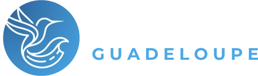 logo van taxi guadeloupe