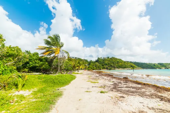 transferts taxi guadeloupe vers les ports & plages